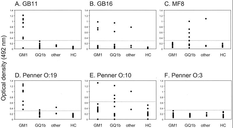 FIG. 2.