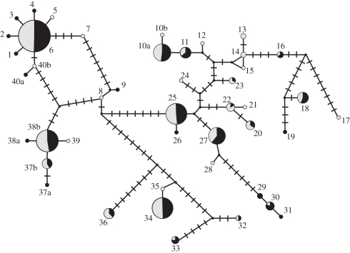 Figure 1.