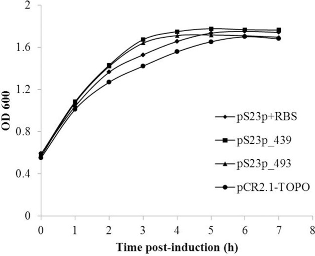 Figure 7