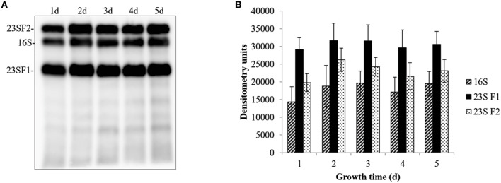 Figure 10