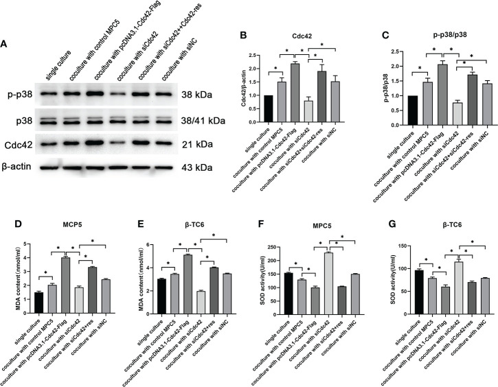 Figure 6