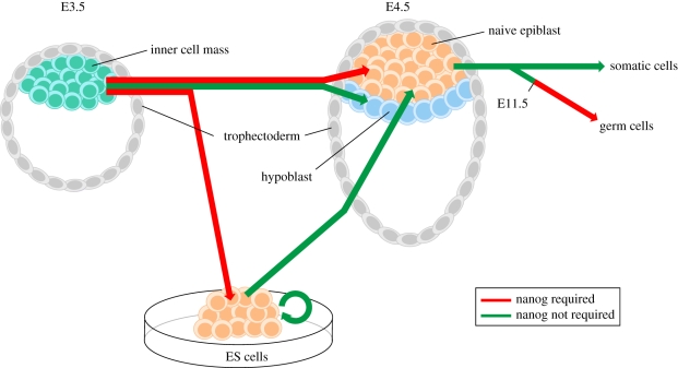 Figure 1.