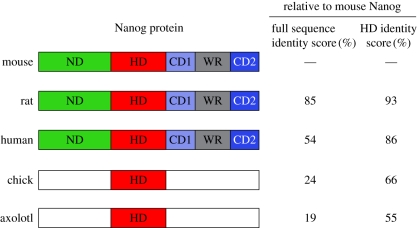 Figure 3.