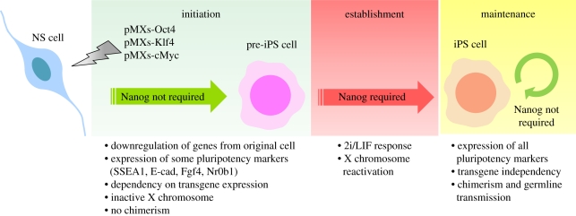 Figure 2.