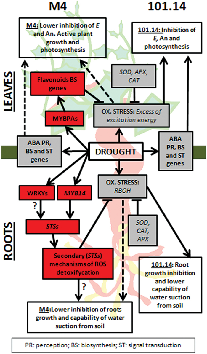 Fig. 7.