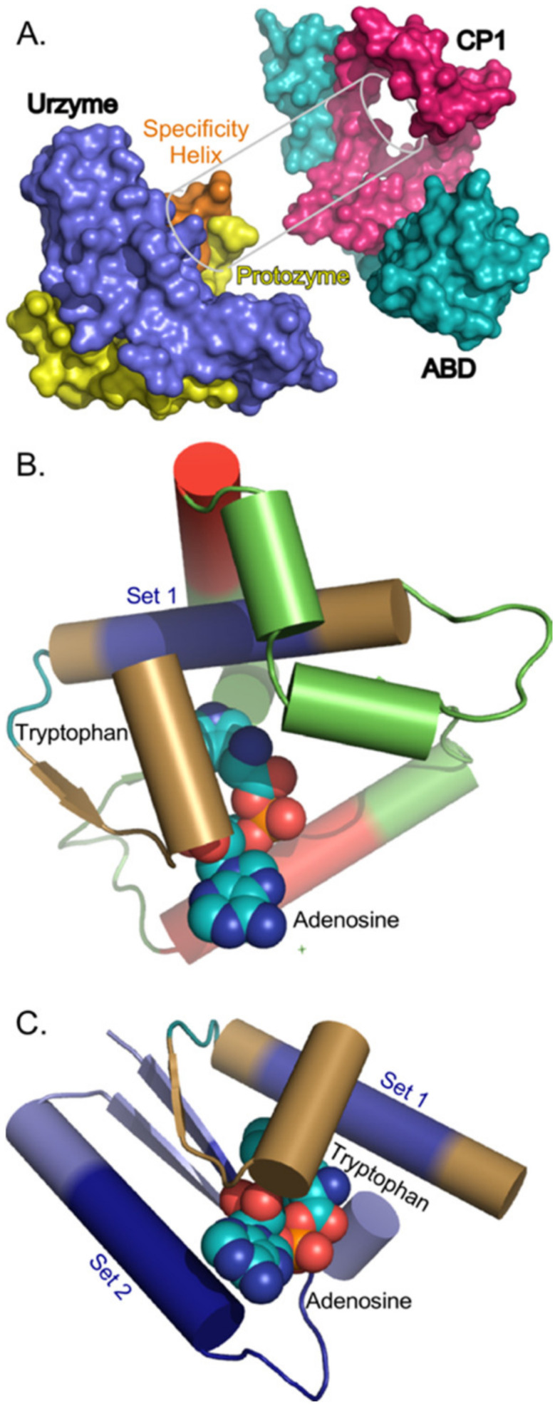 Figure 7