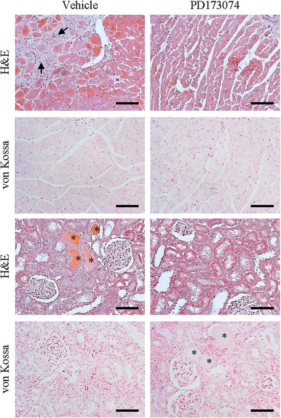 FIGURE 2: