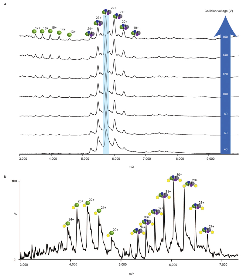 Extended Data Figure 1