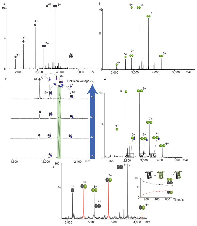 Extended Data Figure 6