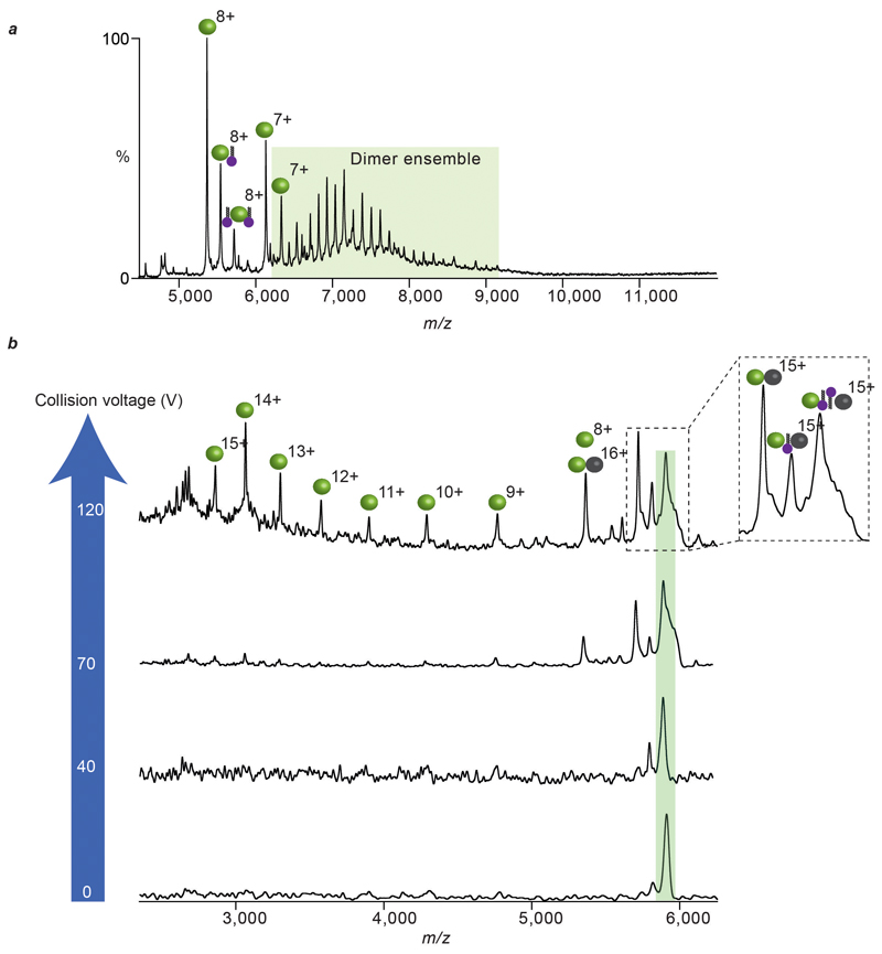 Extended Data Figure 7