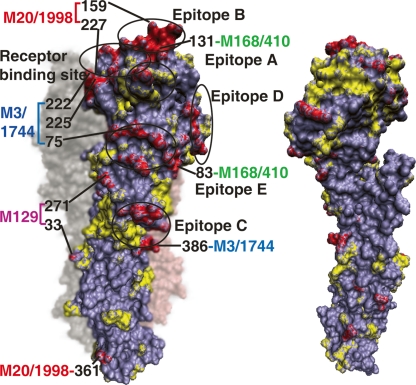 Figure 6.