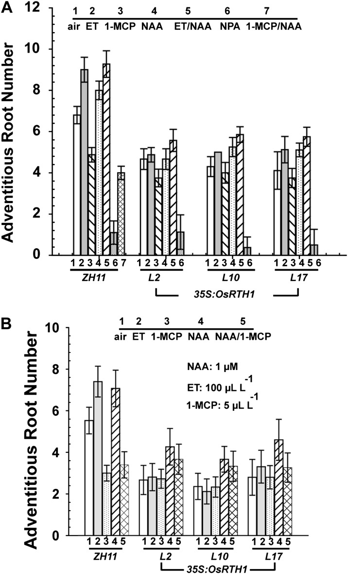 Fig. 9.