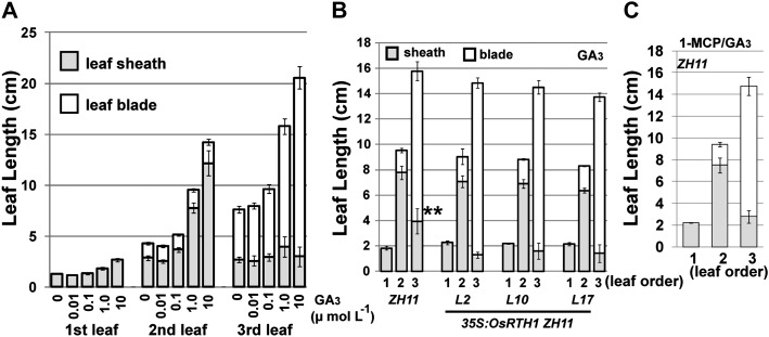 Fig. 8.