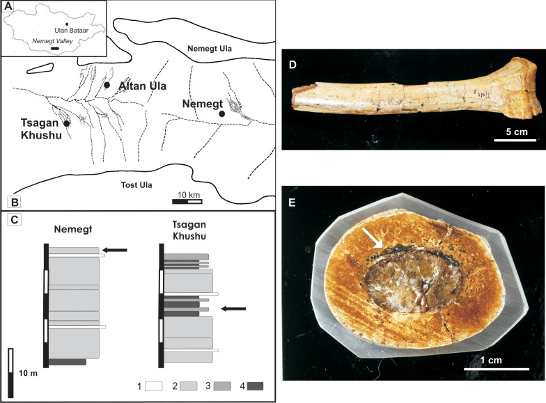 Fig 1