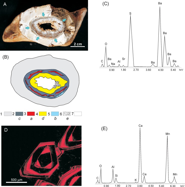 Fig 8