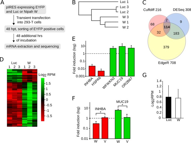 FIG 6