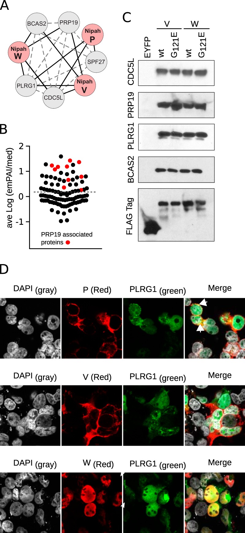 FIG 4