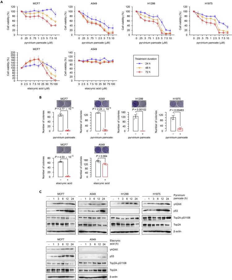 Figure 6