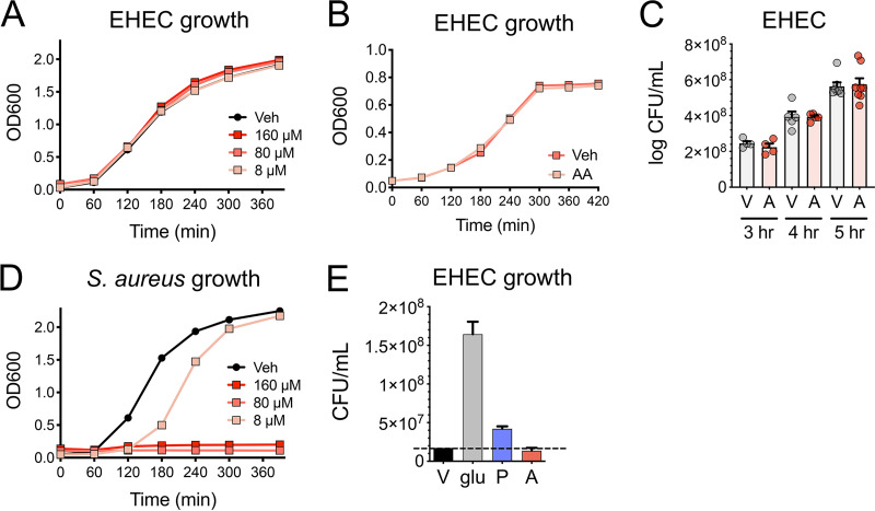 FIG 2