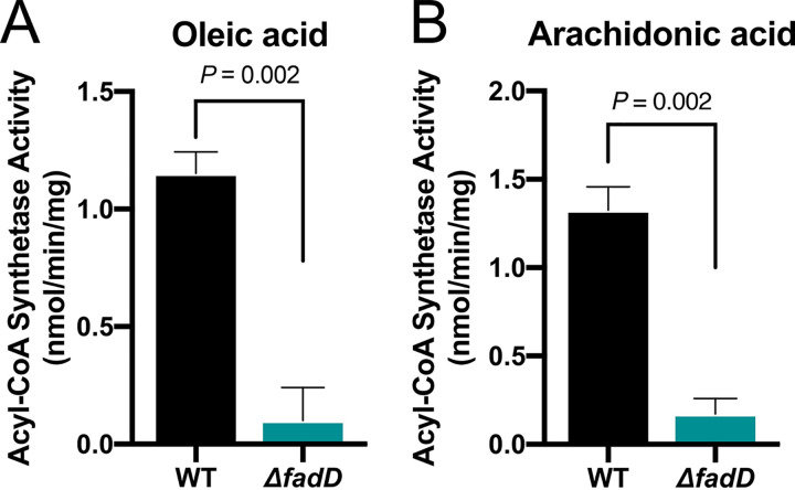 FIG 4