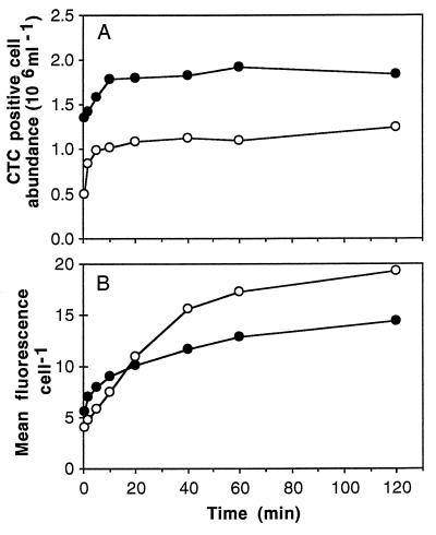 FIG. 6