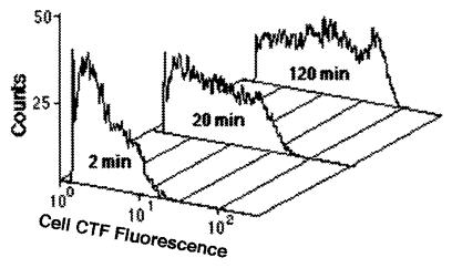 FIG. 8