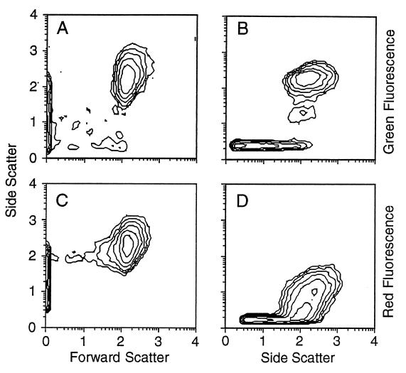 FIG. 3