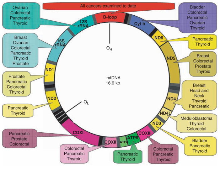 Fig. 15.4