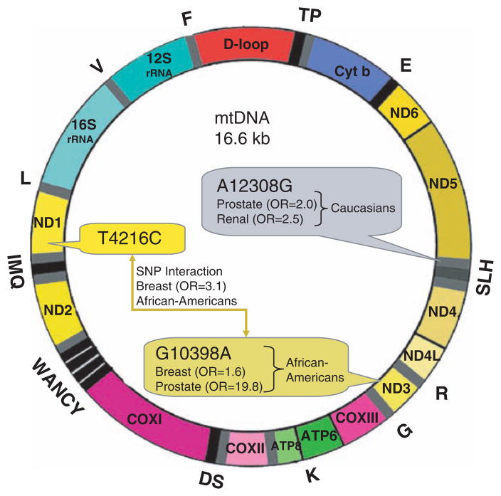 Fig. 15.3