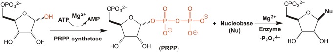 Fig. 1.