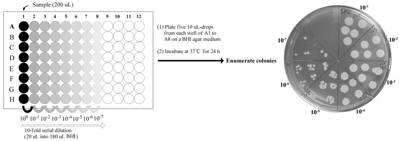 Figure 8