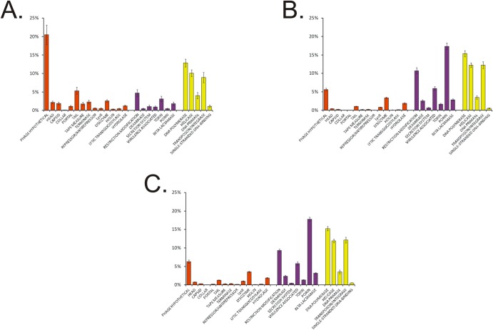 FIG 1 