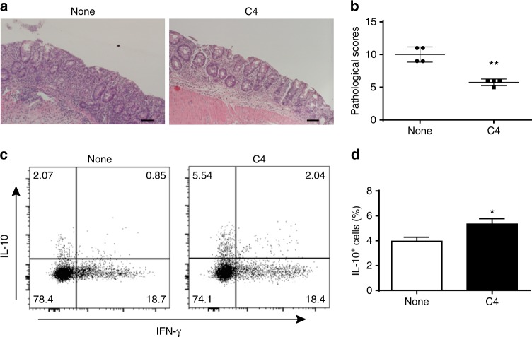 Fig. 9