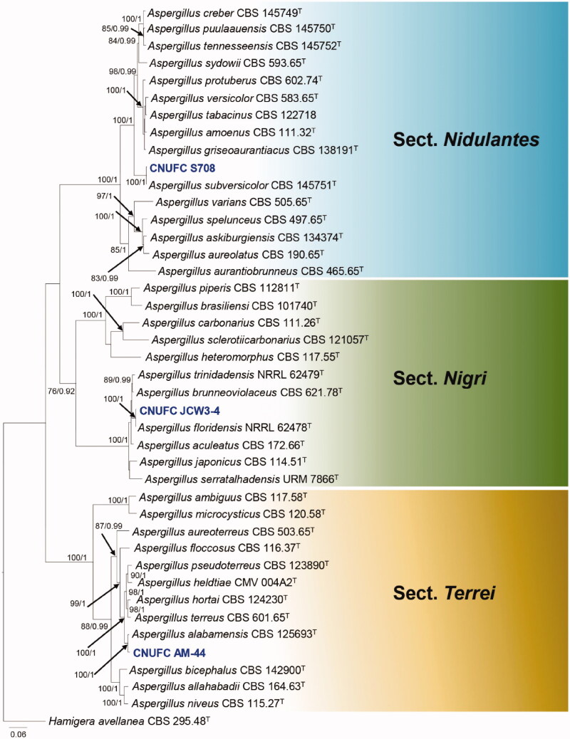 Figure 1.