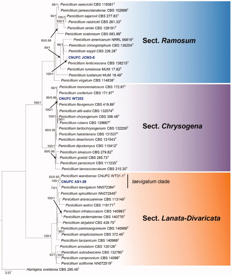 Figure 3.