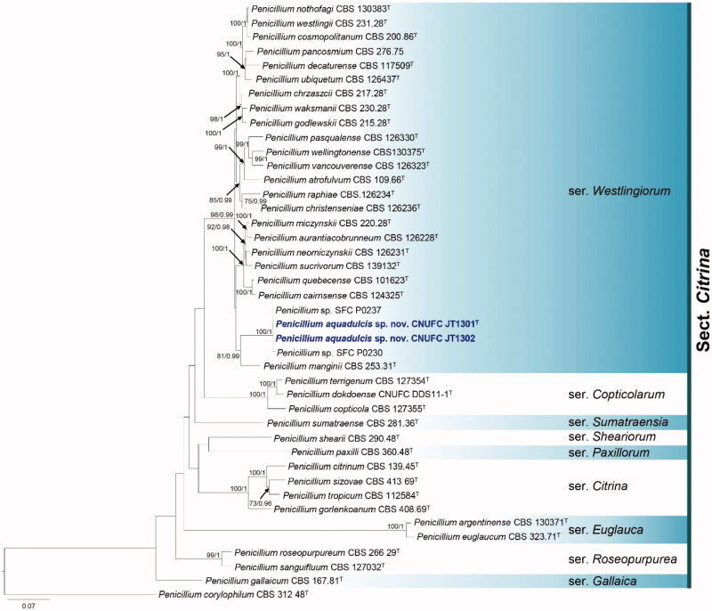 Figure 2.