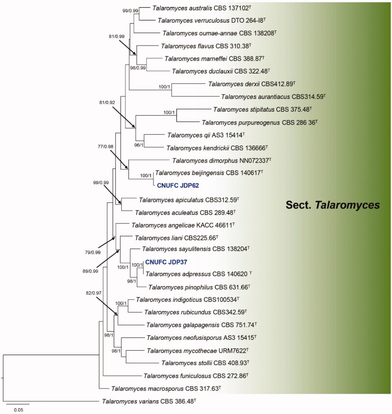 Figure 4.