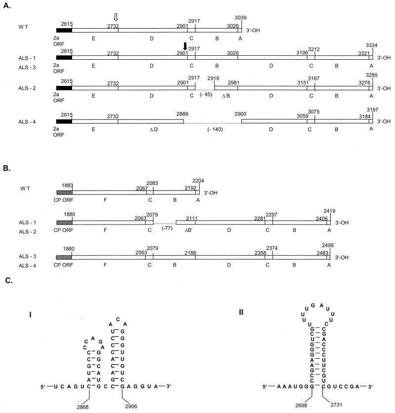 FIG. 2.