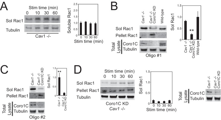 FIGURE 4.