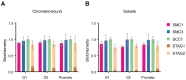 Figure 1—figure supplement 3.