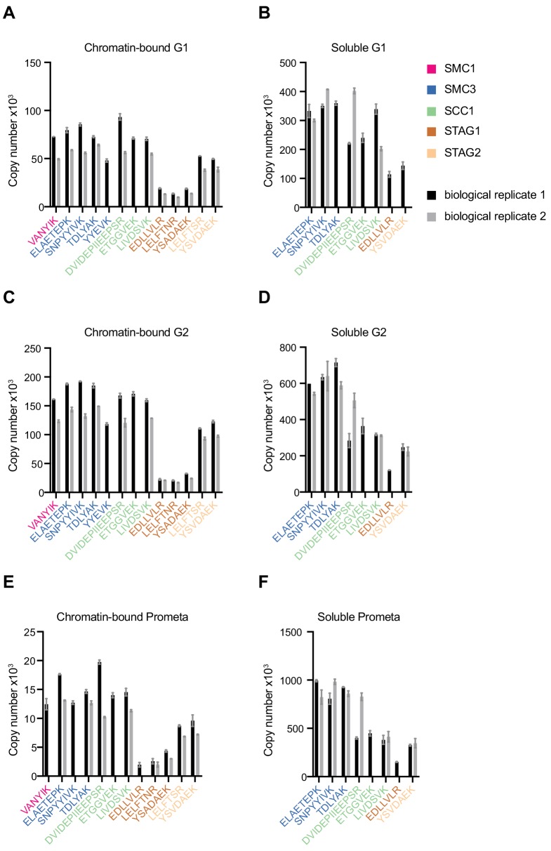 Figure 1—figure supplement 2.