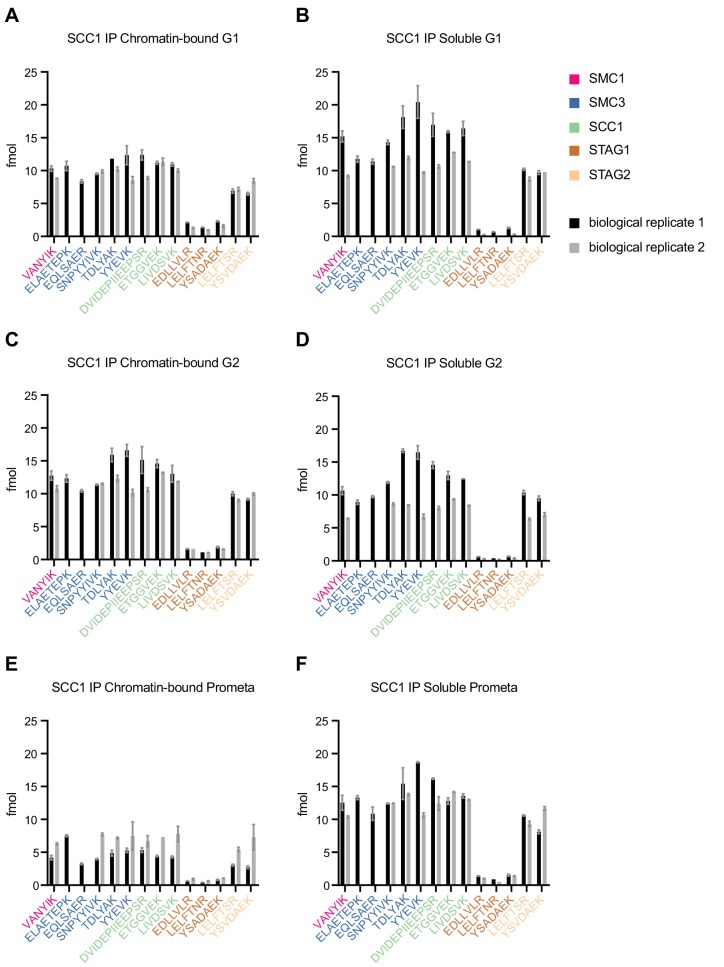 Figure 1—figure supplement 4.