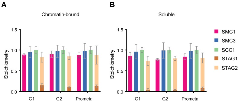 Figure 1—figure supplement 3.