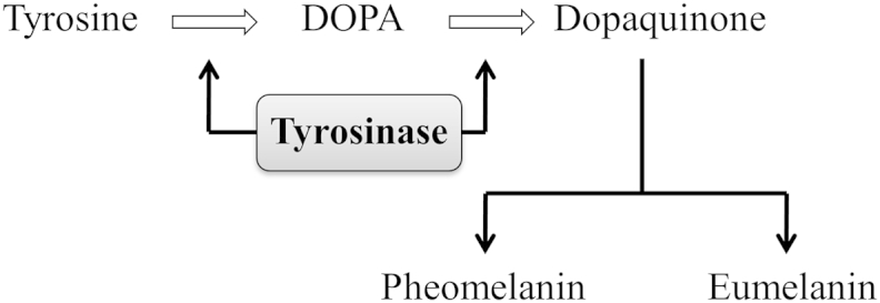 Fig 1