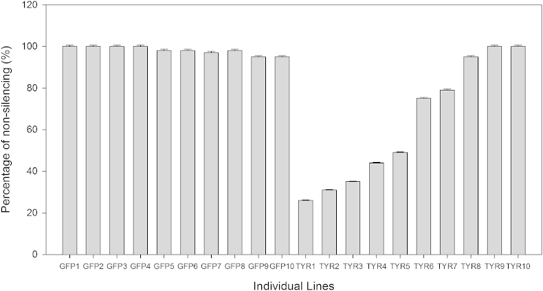 Fig 3