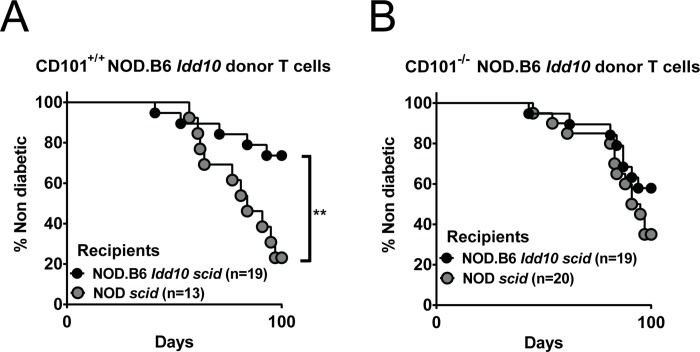 Fig 8