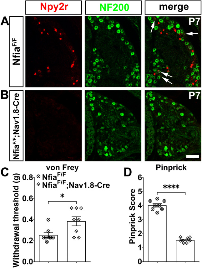 Fig. 6