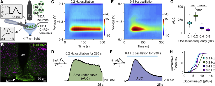 Figure 2