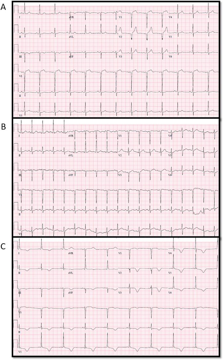 Fig 6