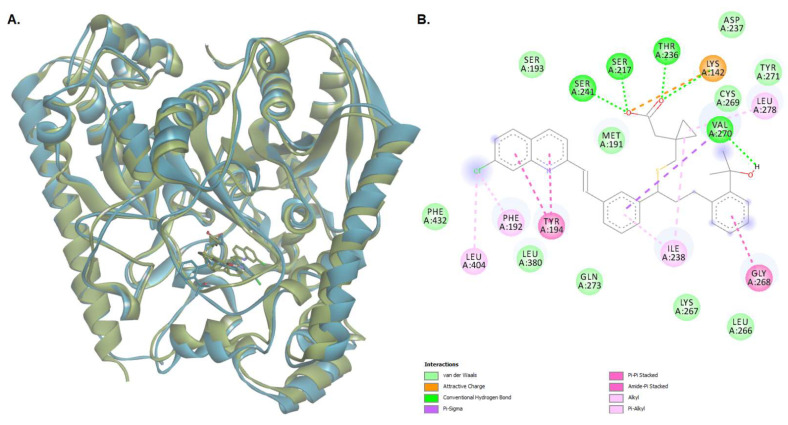 Figure 11